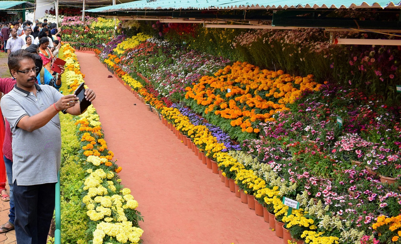 Ooty Summer Festival