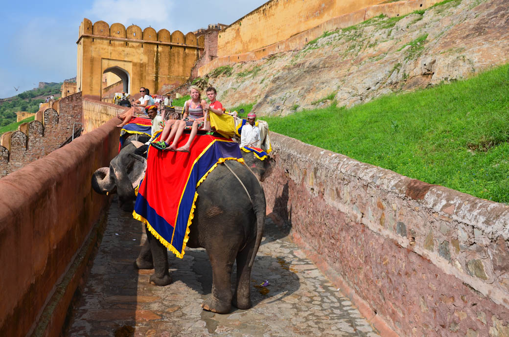 Jaipur Amber Fort Elephant Ride with Kids