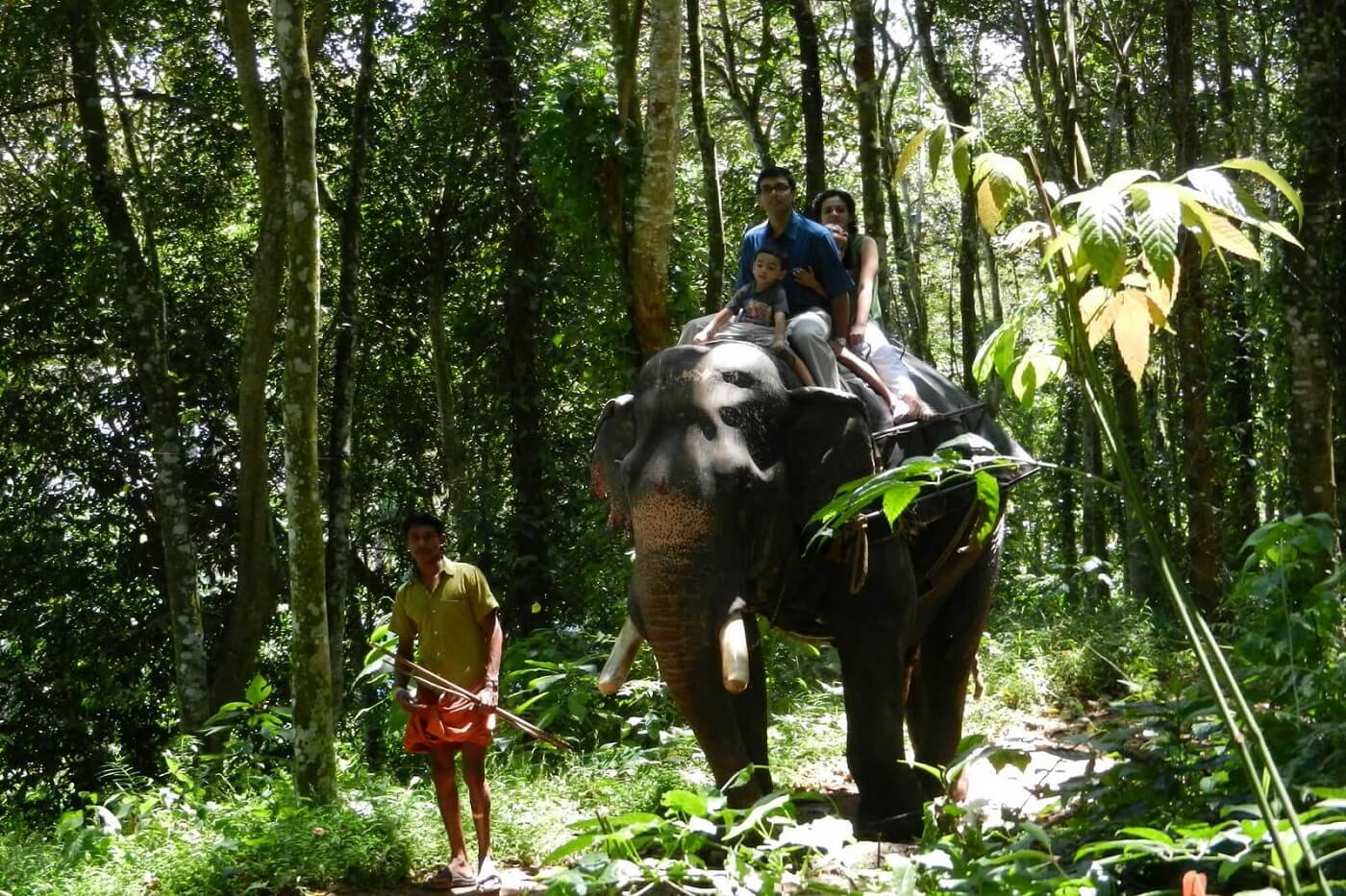 Thekkady Elephant Safari with Kids
