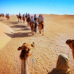 Rajasthan Desert Safari