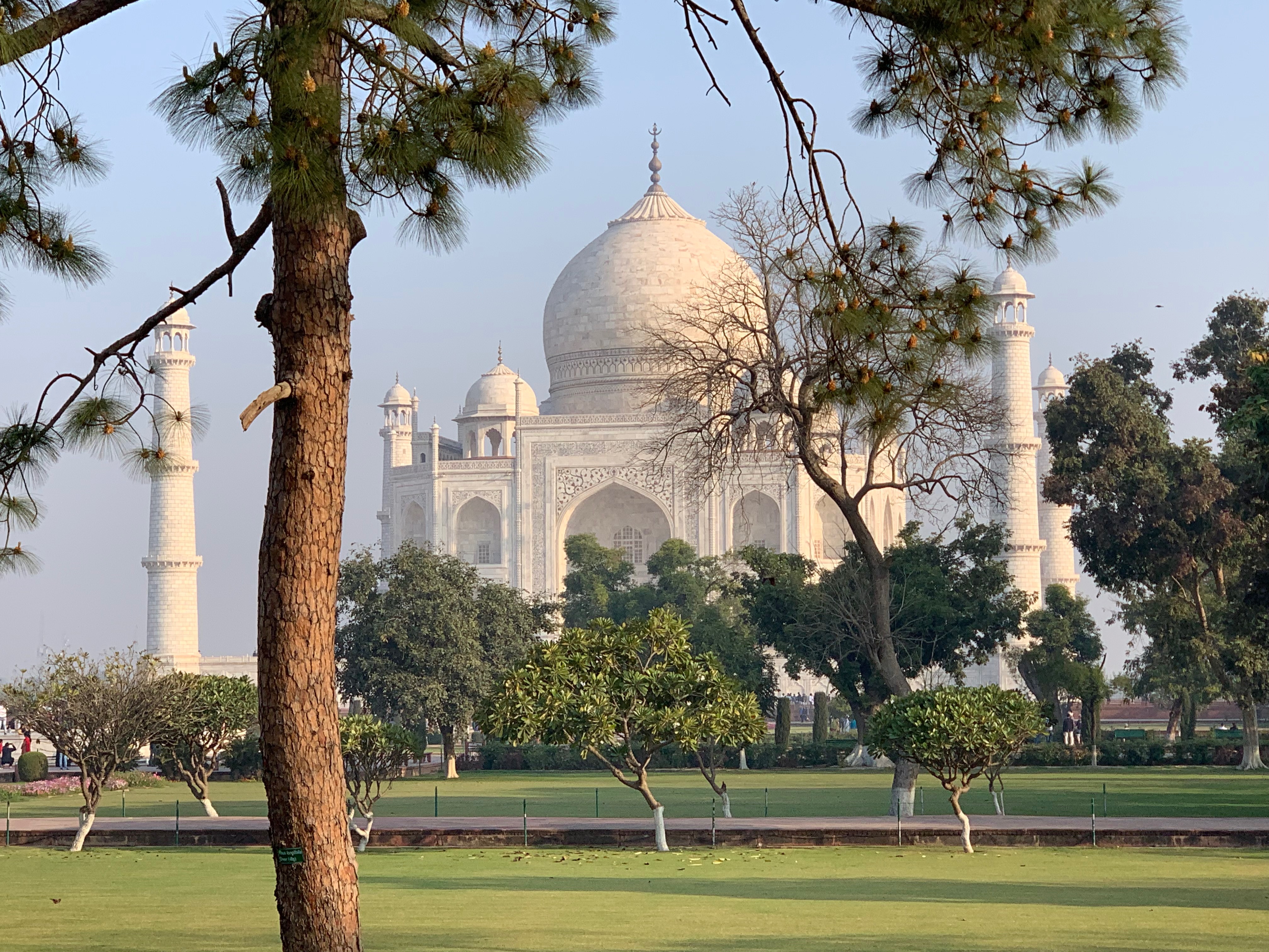 Taj Mahal Sunrise winter