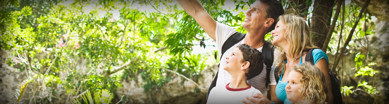 Kerala Family Tour