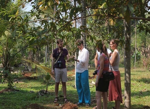 Spice Plantation Goa