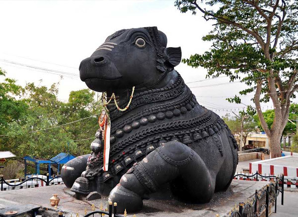 Nandi Temple