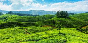 Hill Stations in Kerala