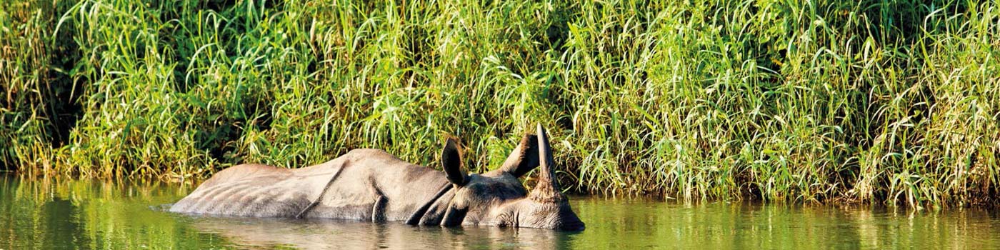Chitwan National Park