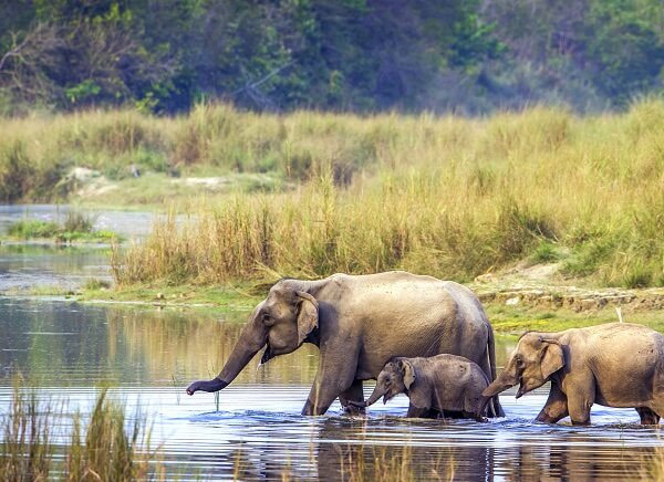 Bardia National Park