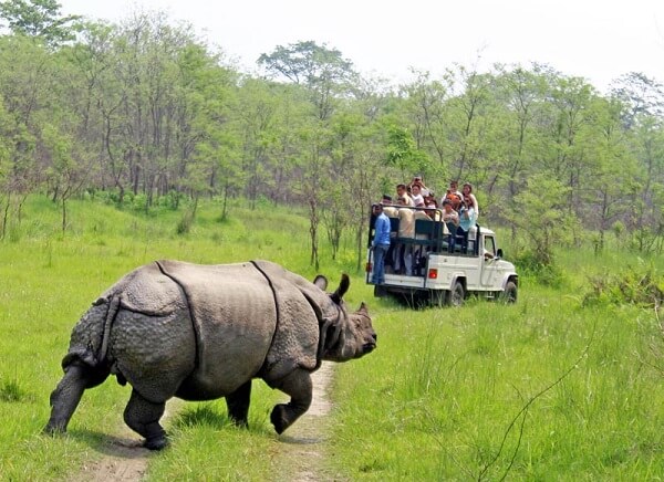 8 Days  Kathmandu Pokhara Chitwan Tour