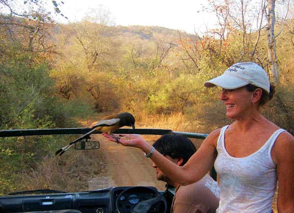 8 Delhi Agra Jaipur with Bharatpur Tours