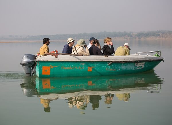 Chambal Boat Safari