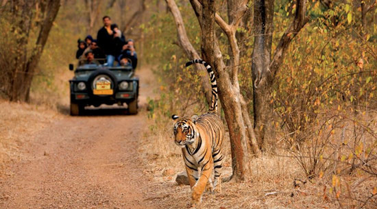 Weekend Destinations