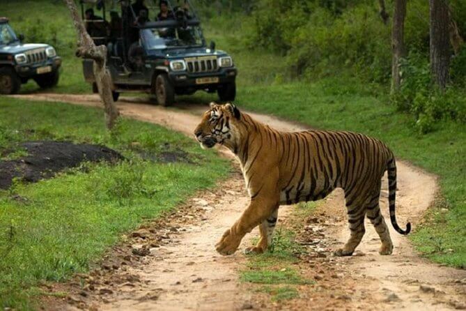 Sariska National Park