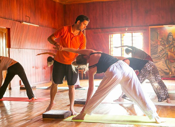 Ayurveda Yoga Villa, Wayanad