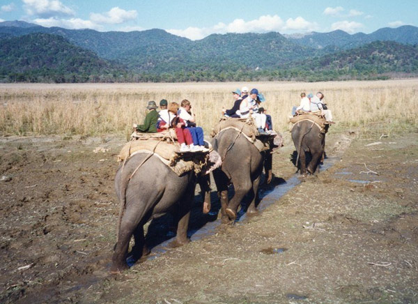 Corbett National Park