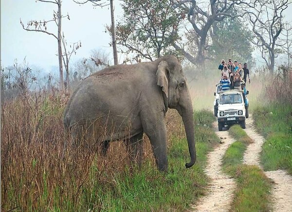 Manas National Park