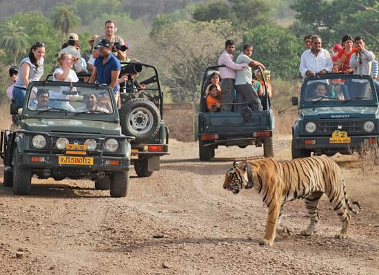 15 Days - North India Wildlife Cultural Tour