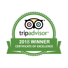 TripAdvisor Winner