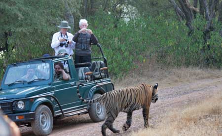 Explore Ranthambore by Maharajas Express